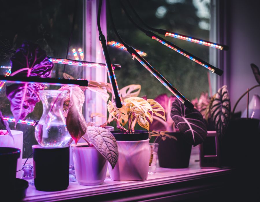 LED növénylámpa 20 W, csíptetős